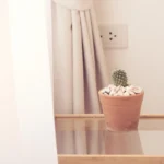 Cacto pequeno em cima de criado-mudo ao lado da cama — lugar não recomendado no Feng Shui