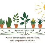 fluxo de energia chi no jardim feng shui