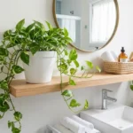 jiboia pendurada em prateleira alta banheiro feng shui